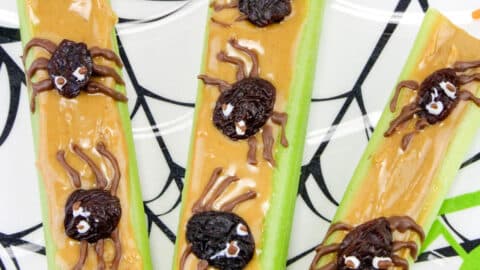 Celery sticks topped with peanut butter and raisins decorate with chocolate to look like spiders up close on a Halloween plate.
