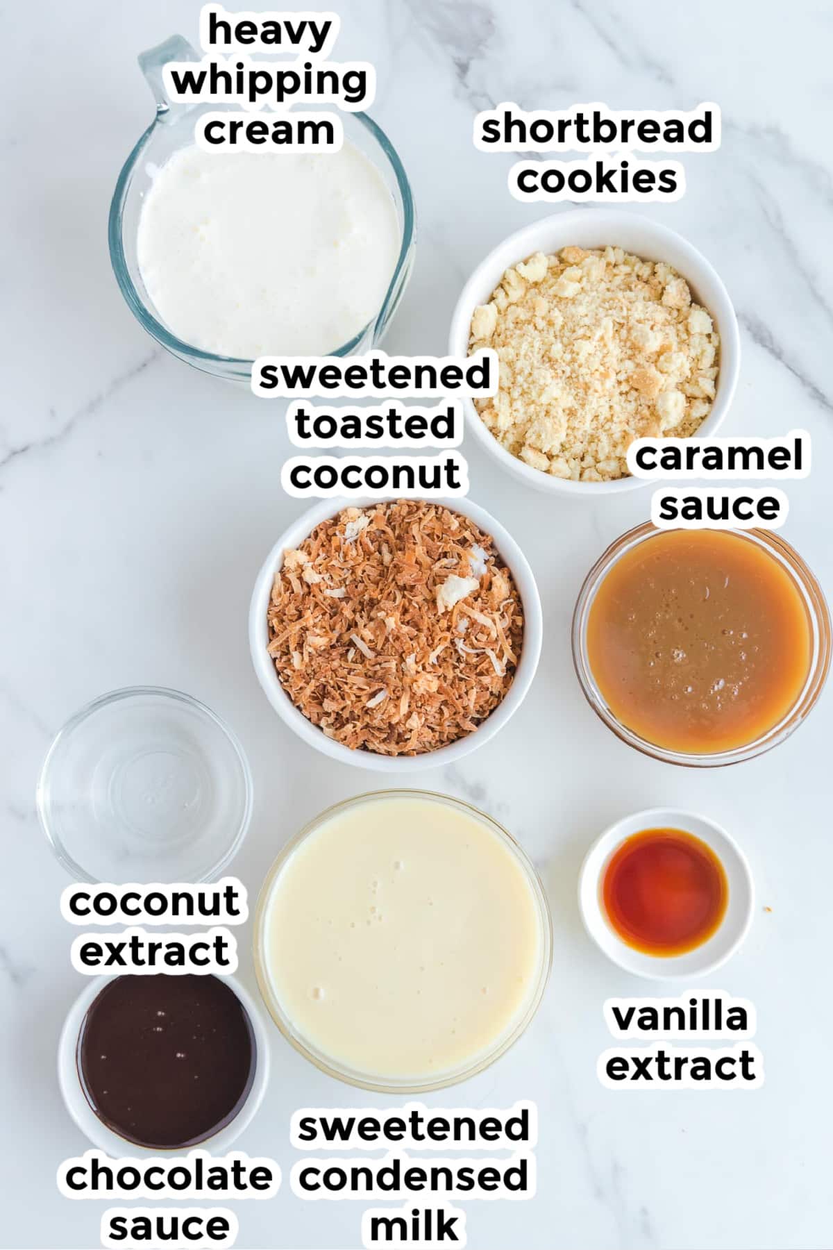 Ingredients for samoa ice cream in bowls from overhead with text title labels.