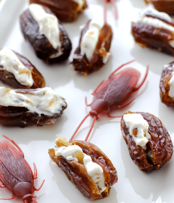 A platter of dates stuffed with cream cheese, arranged alongside plastic cockroach decorations to look like cockroaches.