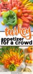 A collage of two images of a colorful turkey-shaped vegetable platter with carrots, bell peppers, and sugar snap peas with a turkey face in the center with a bell pepper for dip. Title text between the two images.