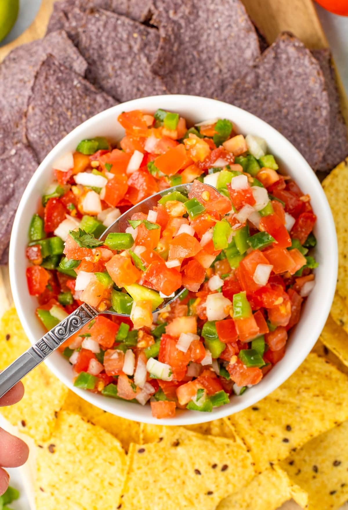 A bowl of fresh Pico de Gallo made up of diced tomatoes, green peppers, and onions, surrounded by blue and yellow tortilla chips with a spoon is scooping some salsa.