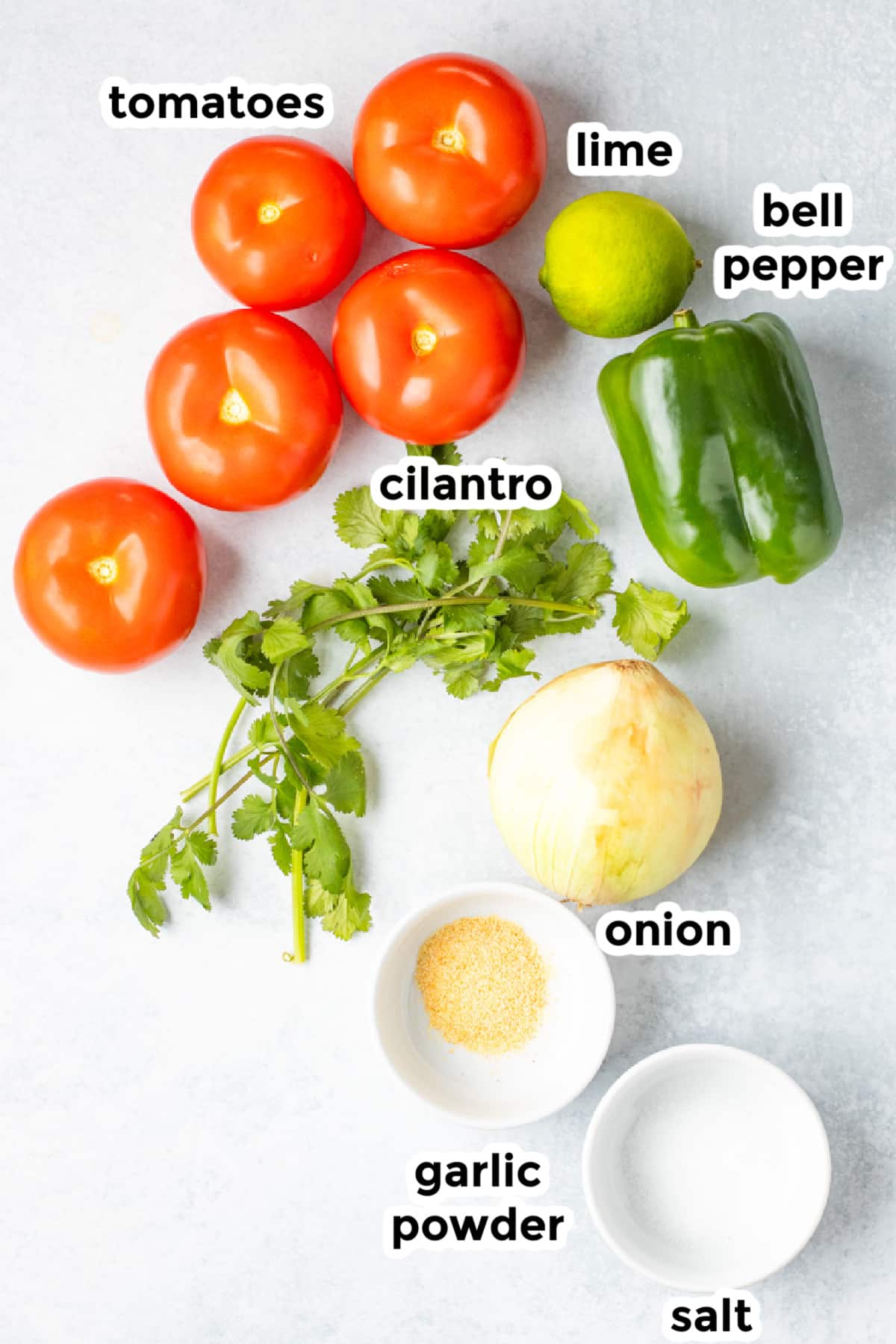 Labeled ingredients on a white surface: tomatoes, lime, bell pepper, cilantro, onion, garlic powder, and salt.