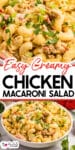 Bowl of creamy chicken macaroni salad topped with chopped green herbs, placed on a table. Text overlay reads "Easy Creamy Chicken Macaroni Salad.