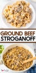A plate and a pot of ground beef stroganoff with egg noodles and mushrooms. A wooden spoon rests in the pot, and a salad is partially visible on the side. Text reads "Ground Beef Stroganoff.
