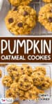 Pumpkin oatmeal cookies with chocolate chips cooling on a wire rack, displayed in close-up and grouped together. Text labels read "Pumpkin Oatmeal Cookies" and "Chewy Cookies!".