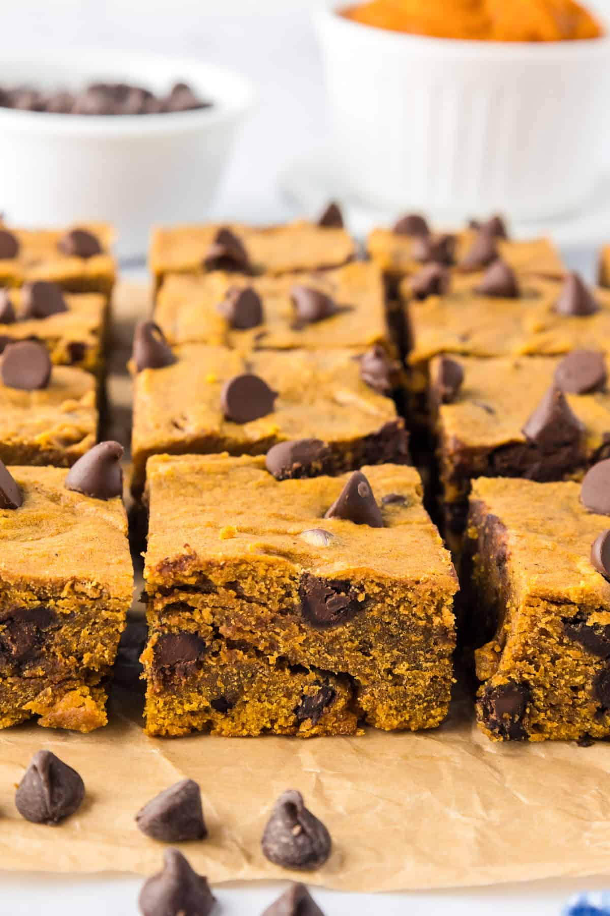 Sliced pumpkin chocolate chip bars on parchment paper, topped with chocolate chips in rows after slicing.