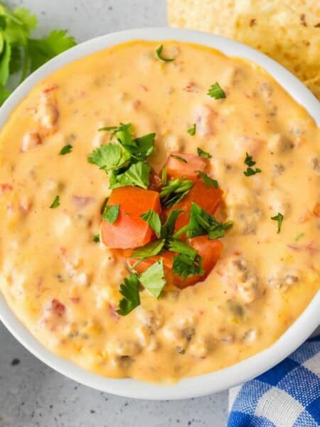A bowl of crock pot Rotel dip topped with chopped tomatoes and cilantro, surrounded by tortilla chips, diced tomatoes, and cilantro on a gray surface.