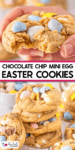 Close-up of mini egg chocolate chip cookies with colorful candy eggs and gooey chocolate chips, some stacked and one with a bite taken out. Text reads: "Chocolate Chip Mini Egg Easter Cookies.