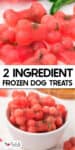 Close-up of red, bone-shaped frozen watermelon dog treats stacked together, with some in a white bowl. Text reads: "2 Ingredient Frozen Dog Treats.