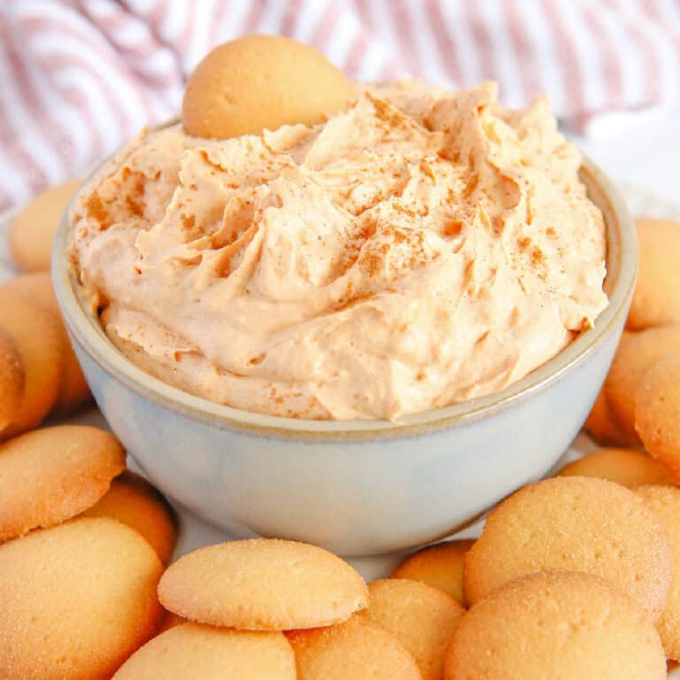 Finished close up view of pumpkin pie dip in a serving bowl surrounded by vanilla wafers with one cookie in the dip.